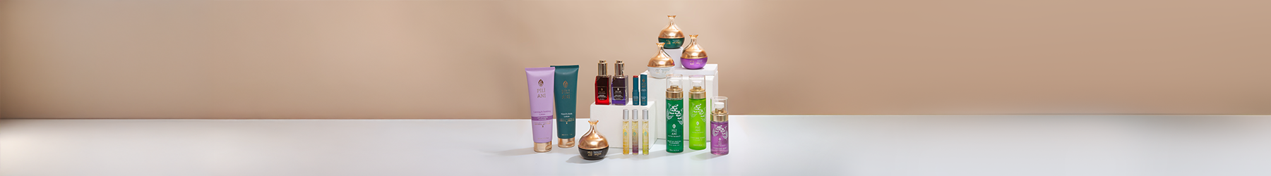 Collection_Banner_4.png